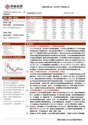 国际化进程不改，行业景气下产能加快上马