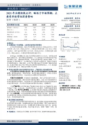 2021年业绩快报点评：略低于市场预期，主要受非经常性因素影响