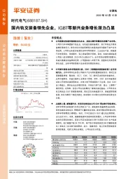 国内轨交装备领先企业，IGBT等新兴业务增长潜力凸显