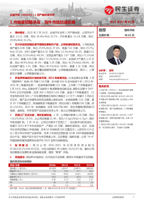 1月产销快报点评：1月销量短期承压，海外市场加速拓展