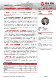 1月产销快报点评:1月销量短期承压,海外市场加速拓展