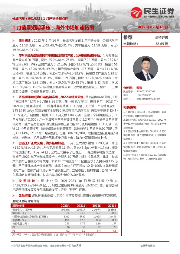 1月产销快报点评：1月销量短期承压，海外市场加速拓展