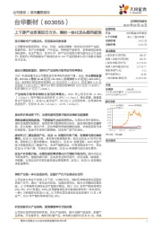 上下游产业变革如日方升，锦纶一体化龙头乘风破浪