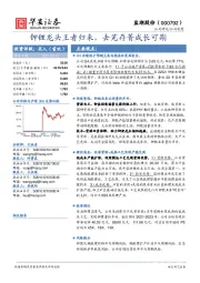 钾锂龙头王者归来，去芜存菁成长可期