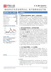 国内湿电子化学品领军企业，新产能释放未来可期