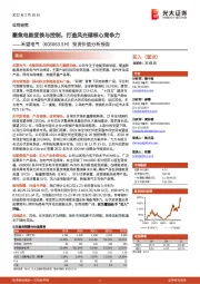 投资价值分析报告:聚焦电能变换与控制,打造风光储核心竞争力