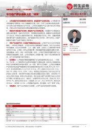 公司深度报告:华为国产数字底座上的“明珠”