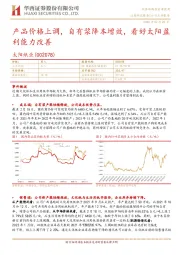 产品价格上调,自有浆降本增效,看好太阳盈利能力改善