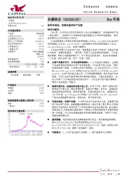 进军多晶硅，完善硅基材料产业链