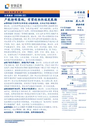 产能持续落地,有望迎来快速发展期