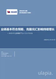 公司点评报告:业绩基本符合预期,克服兑汇影响持续增长