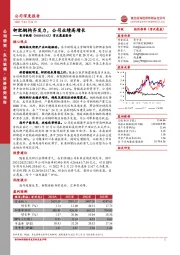 首次覆盖报告：钾肥钢构齐发力，公司业绩高增长