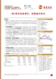 Q4营收快速增长，短期盈利承压