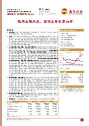 2021年业绩快报点评：短期业绩承压，困境反转长期向好
