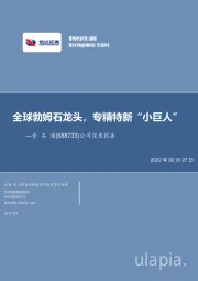 全球勃姆石龙头,专精特新“小巨人”