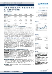 2021年业绩快报点评：新老业务多点开花，业绩符合市场预期