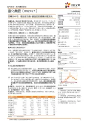 民爆云中守，锂业取功勋-被低估的氢氧化锂龙头