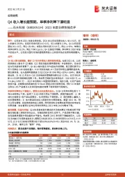 2021年度业绩快报点评:Q4收入增长超预期,单季净利率下滑明显