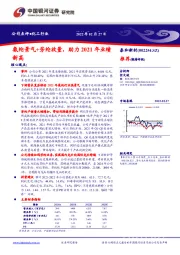 氨纶景气+芳纶放量，助力2021年业绩新高