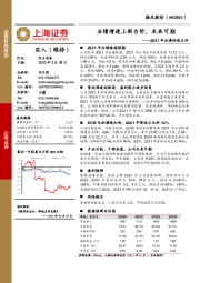 2021年业绩快报点评：业绩增速上新台阶，未来可期