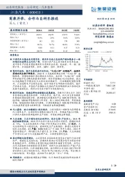 商乘并举，合作与自研齐推进