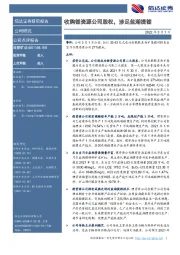收购锂资源公司股权,涉足盐湖提锂