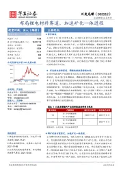 布局锂电材料赛道，加速矿化一体进程