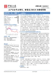 主产品全年正增长，销售发力助Q4业绩超预期