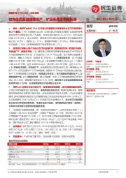动态报告:收购优质盐湖提锂资产,矿业老兵进军新能源