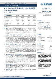 威胜信息2021年年报点评：业绩稳健增长，芯片业务高速增长