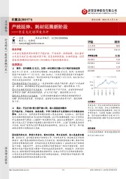 东富龙定增预案点评：产线延伸、耗材拓展新阶段