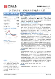 Q4营收高增，看好提价落地盈利改善