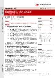 启明星辰点评报告：激励计划发布，助力业务成长