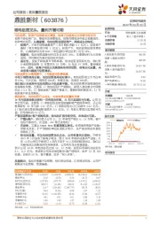 锂电铝箔龙头，量利齐增可期