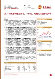 成本下降盈利能力改善，一体化、规模化有望梯次降本