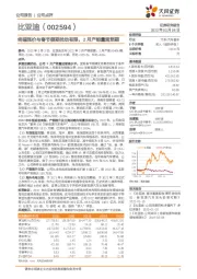 终端涨价与春节假期扰动有限，2月产销量超预期