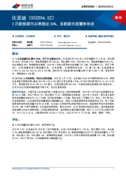2月新能源市占率接近30%，多款新车型蓄势待发