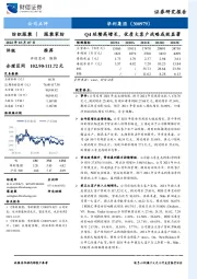 Q4延续高增长，优质大客户战略成效显著