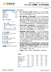 2021年收入利润翻倍，多产线全面高增