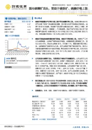 国内硫精矿龙头，受益于硫铁矿、硫酸价格上涨