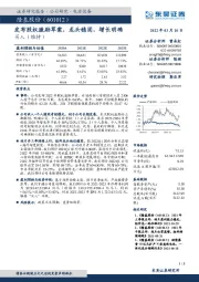 发布股权激励草案,龙头稳固,增长明确