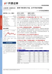 公司信息更新报告：疫情下增长势头不减，全年可做乐观展望