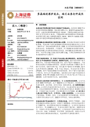 多晶硅还原炉龙头,硅片业务打开成长空间