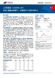 受益三氯氢硅高景气，完善循环产业提升竞争力