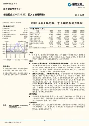 CDMO业务表现亮眼,中长期发展动力强劲