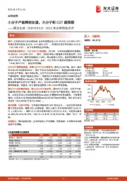 2021年业绩预告点评:小分子产能释放加速,大分子和CGT超预期