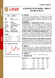 电极材料国产替代穿越周期，轻掺硅片厚积薄发加速成长