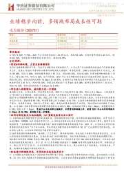 业绩稳步向前,多领域布局成长性可期