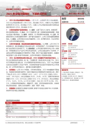 业绩快报点评:2021年业绩平稳增长,下游多点开花