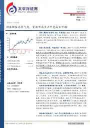 钾盐锂盐高景气度,资源布局多点开花成长可期
